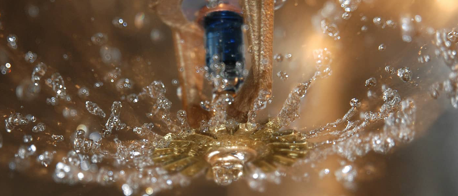 Palo -sprinkleri